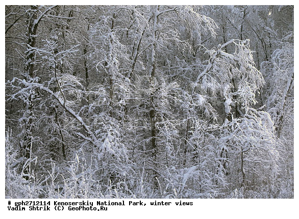 ����������� ���, �������, ����, ����������� ���������