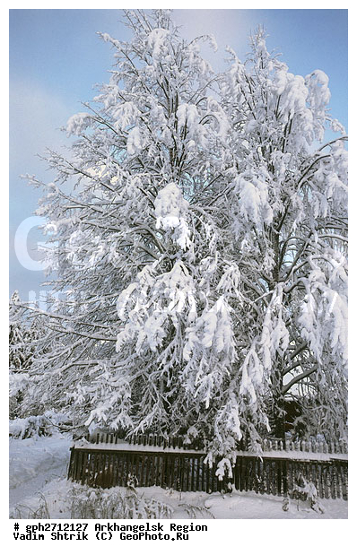 ������������� �������, ����������, �����, ��������, ���������� �����, �����