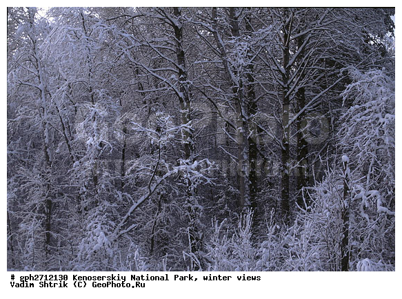 ����������� ���, �������, ����, ����������� ���������