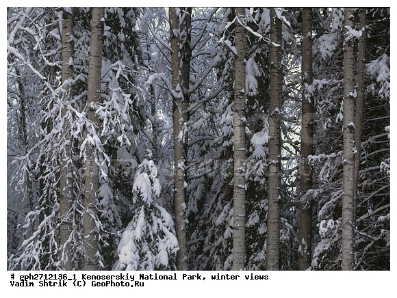 ����������� ���, �������, ����, ����������� ���������