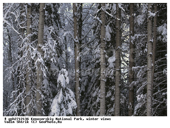 ����������� ���, �������, ����, ����������� ���������