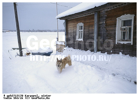 ������������� �������, ���������, ����������, �����, ��������, ����������� ���, ���������� ����, ���, ������� ������, ������