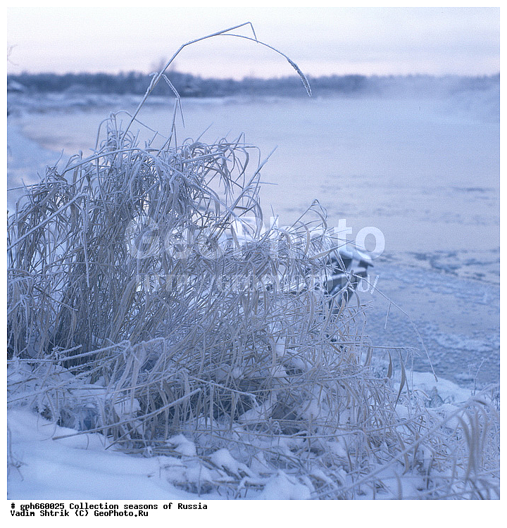 ������ ����, ��������, ������