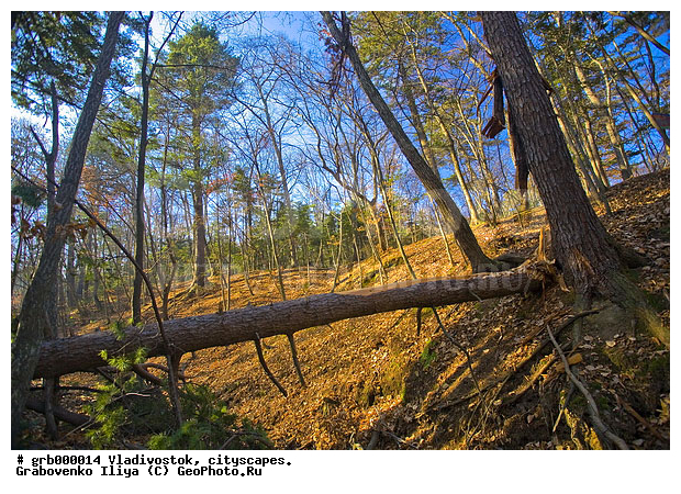 �����������, ������� ������, ��������, �� ����, ����