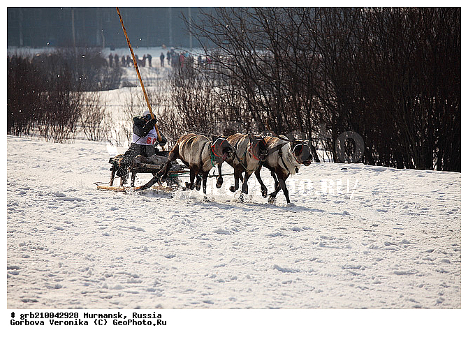 ������ ����, ���������, �������� ����������, ��������, ������� �����, ����� �� ������, �����, �� �������� ������, �������� ������ ������, ������������ ���� ������, ���������, �����, �����, ������ �������, �������� ������, �����, ����, ������������ ����������, ��������, ������