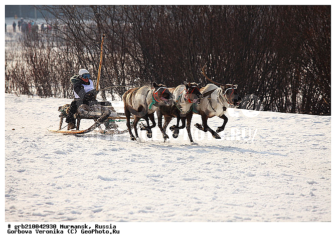 ������ ����, ���������, �������� ����������, ��������, ������� �����, ����� �� ������, �����, �� �������� ������, �������� ������ ������, ������������ ���� ������, ���������, �����, �����, ������ �������, �������� ������, �����, ����, ������������ ����������, ��������, ������