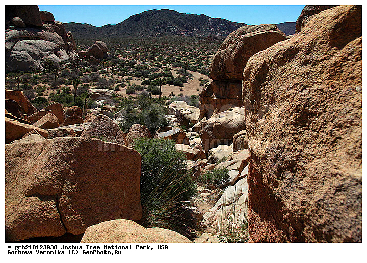 ������-���, ����������, ������������ ����