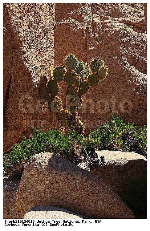 ������-���, ����������, ������������ ����