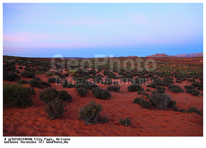 ����� �����, ���� �������