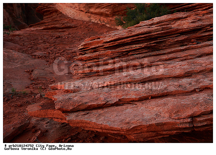 ����� �����, ���� �������