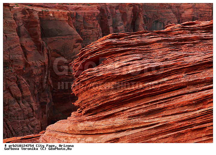 ����� �����, ���� �������