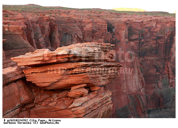 ����� �����, ���� �������