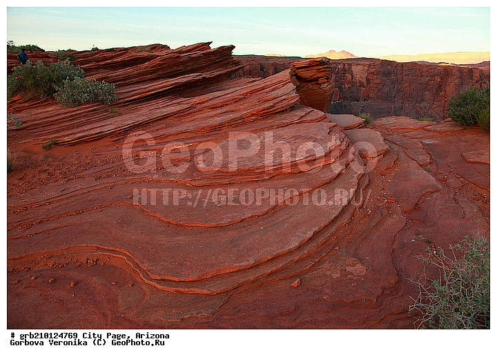 ����� �����, ���� �������