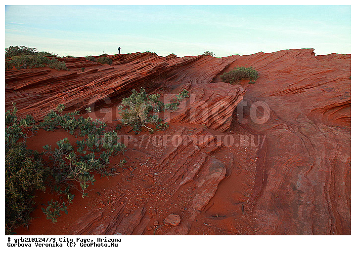 ����� �����, ���� �������