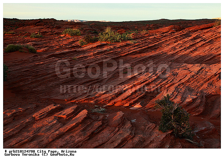 ����� �����, ���� �������