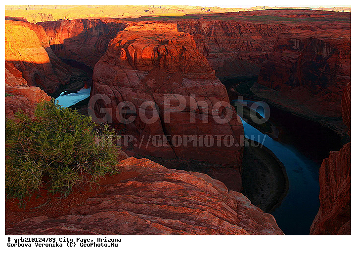 ����� �����, ���� �������