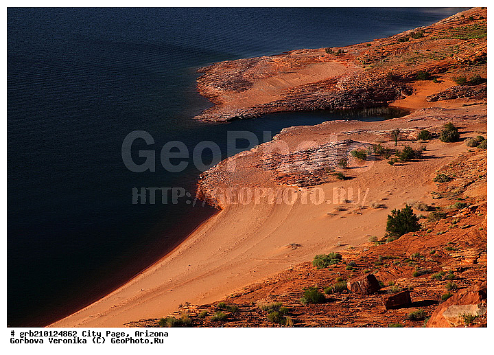 ����� �����, ���� �������