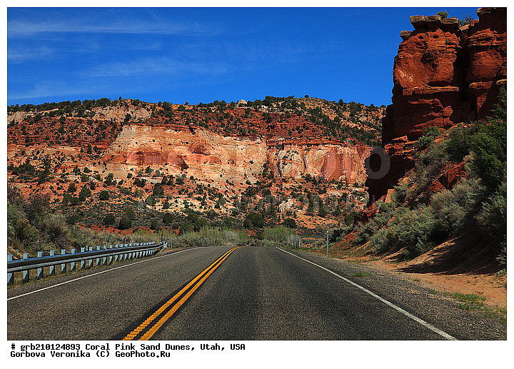 Coral Pink, ������, ����, �����, �������� ����, �������