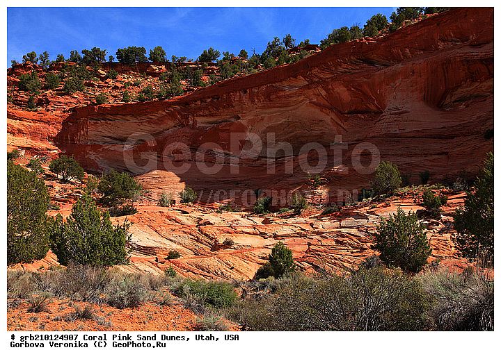 Coral Pink, ������, ����, �����, �������� ����, �������