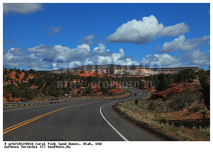 Coral Pink, ������, ����, �����, �������� ����, �������