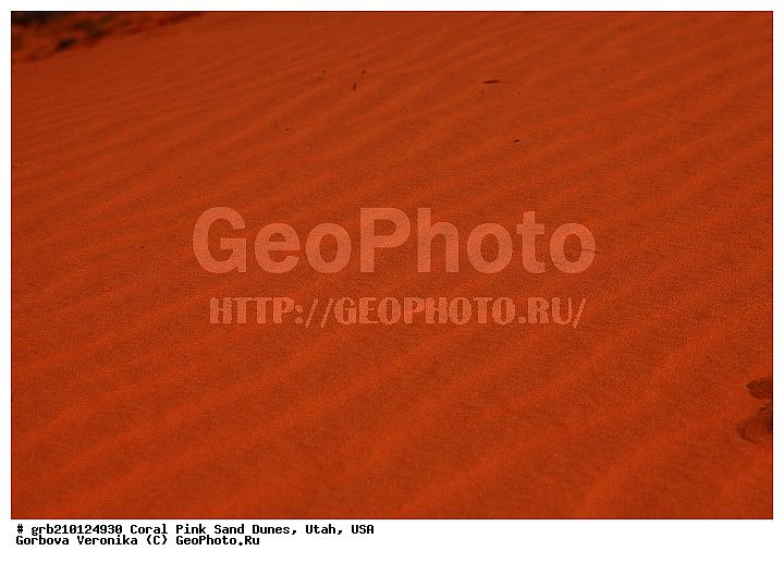 Coral Pink, ������, ����, �����, �������� ����, �������