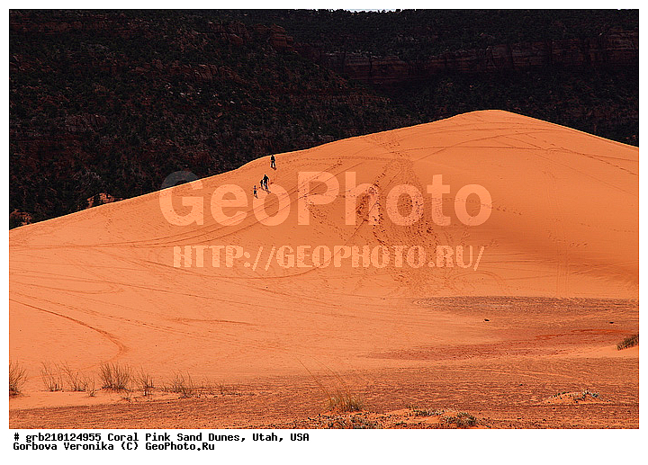 Coral Pink, ������, ����, �����, �������� ����, �������