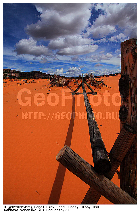 Coral Pink, ������, ����, �����, �������� ����, �������