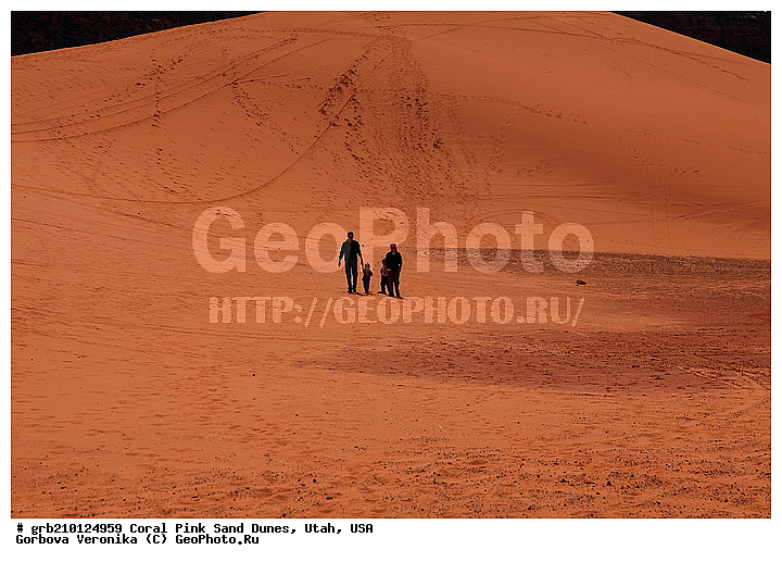 Coral Pink, ������, ����, �����, �������� ����, �������