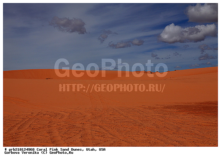 Coral Pink, ������, ����, �����, �������� ����, �������