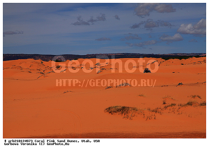 Coral Pink, ������, ����, �����, �������� ����, �������