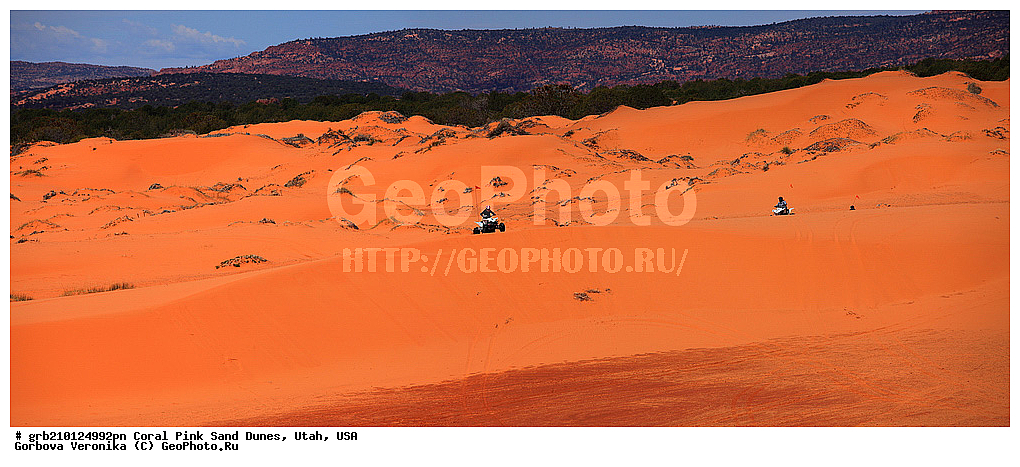 Coral Pink, ������, ����, �����, �������� ����, �������