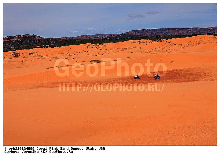 Coral Pink, ������, ����, �����, �������� ����, �������