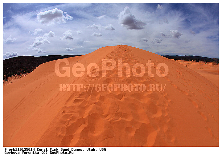 Coral Pink, ������, ����, �����, �������� ����, �������