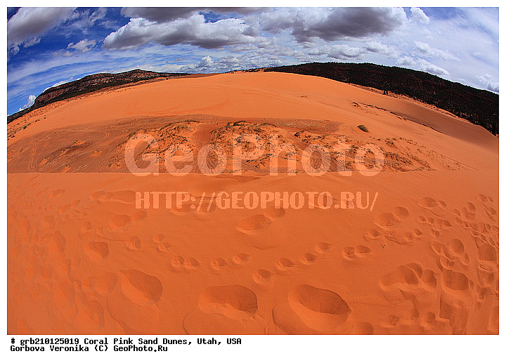 Coral Pink, ������, ����, �����, �������� ����, �������