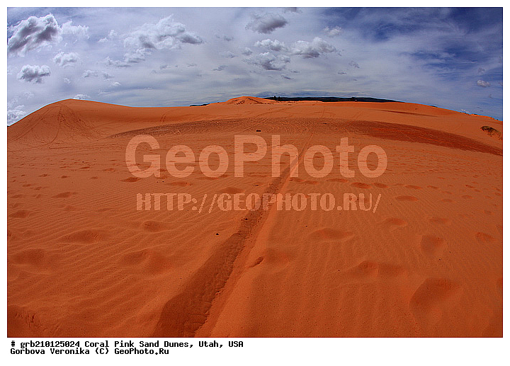 Coral Pink, ������, ����, �����, �������� ����, �������