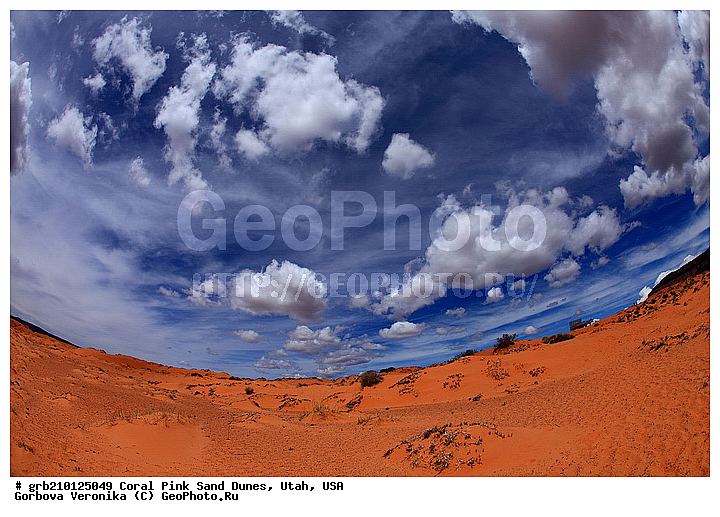 Coral Pink, ������, ����, �����, �������� ����, �������