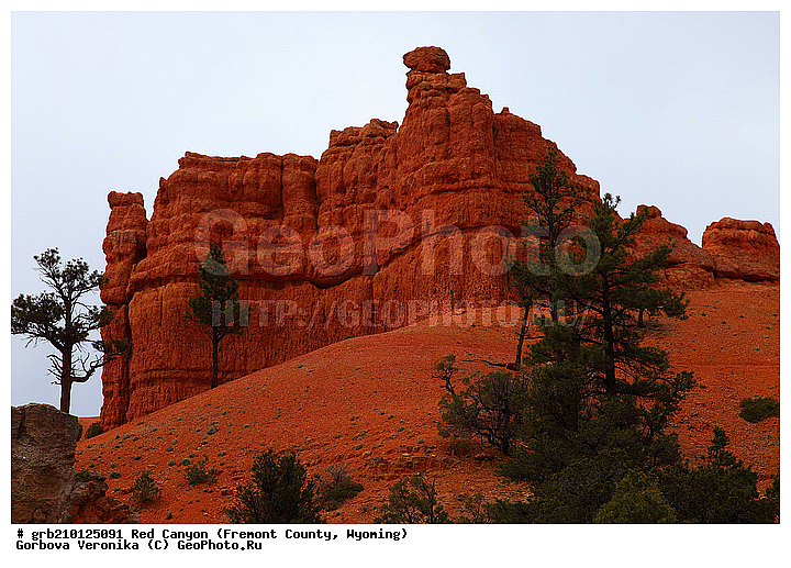 ������� ������, ���, ������� ������, ���� ��������