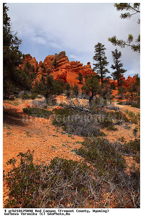 ������� ������, ���, ������� ������, ���� ��������