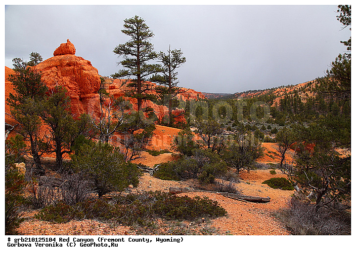 ������� ������, ���, ������� ������, ���� ��������