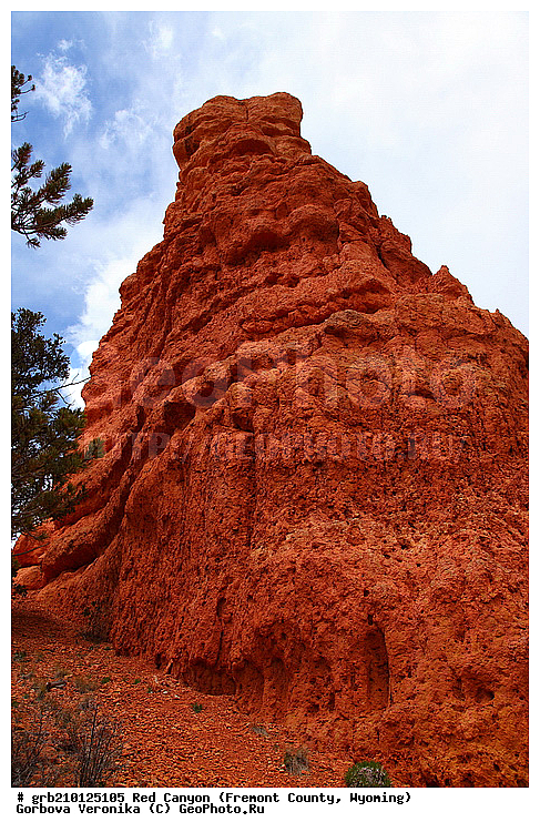 ������� ������, ���, ������� ������, ���� ��������