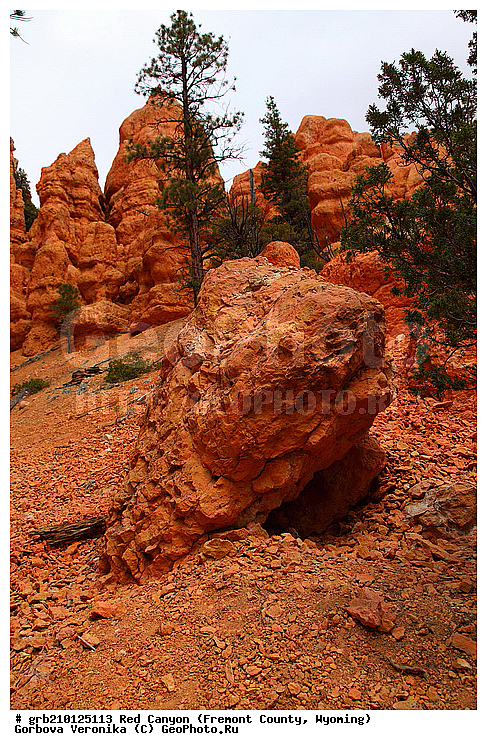 ������� ������, ���, ������� ������, ���� ��������