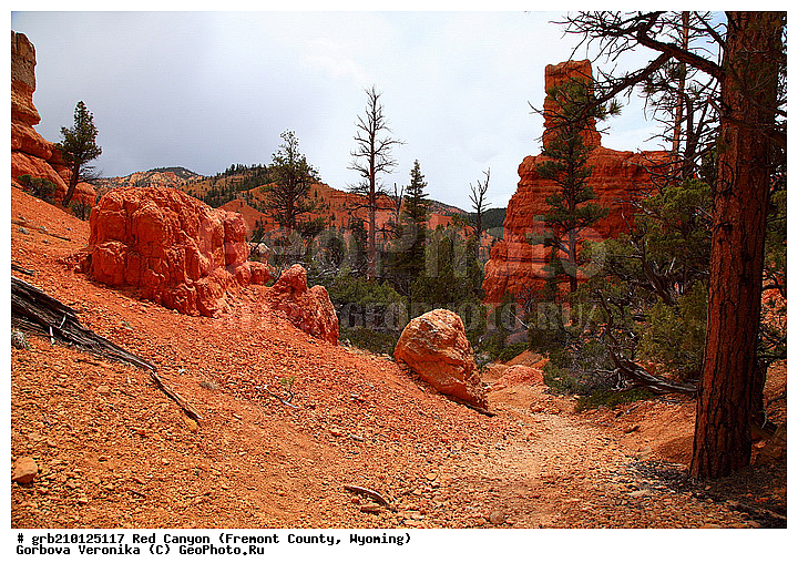 ������� ������, ���, ������� ������, ���� ��������