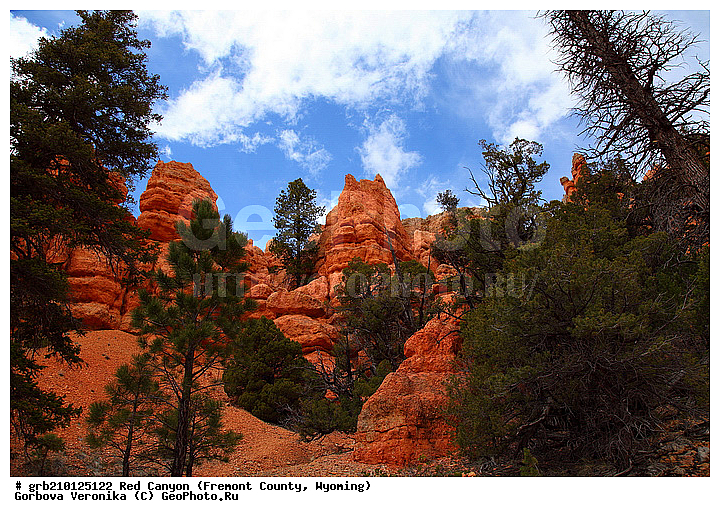 ������� ������, ���, ������� ������, ���� ��������