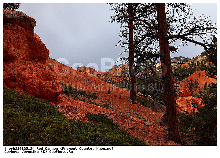 ������� ������, ���, ������� ������, ���� ��������