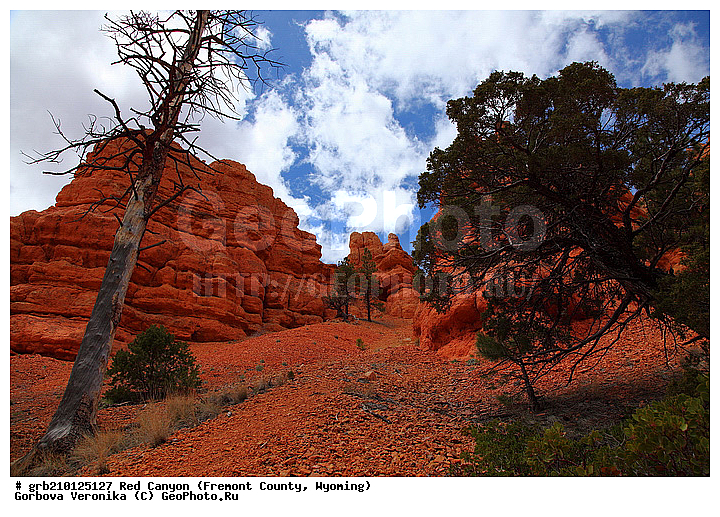 ������� ������, ���, ������� ������, ���� ��������