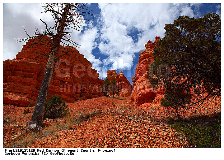 ������� ������, ���, ������� ������, ���� ��������