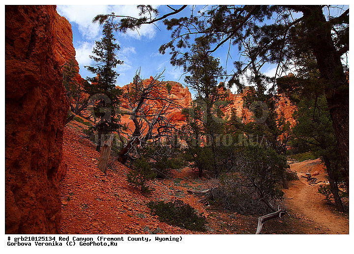 ������� ������, ���, ������� ������, ���� ��������