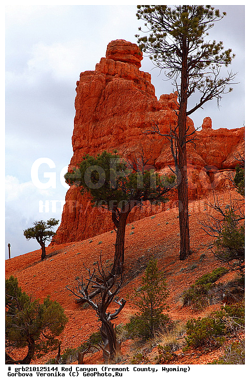 ������� ������, ���, ������� ������, ���� ��������