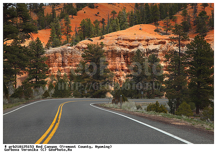 ������� ������, ���, ������� ������, ���� ��������