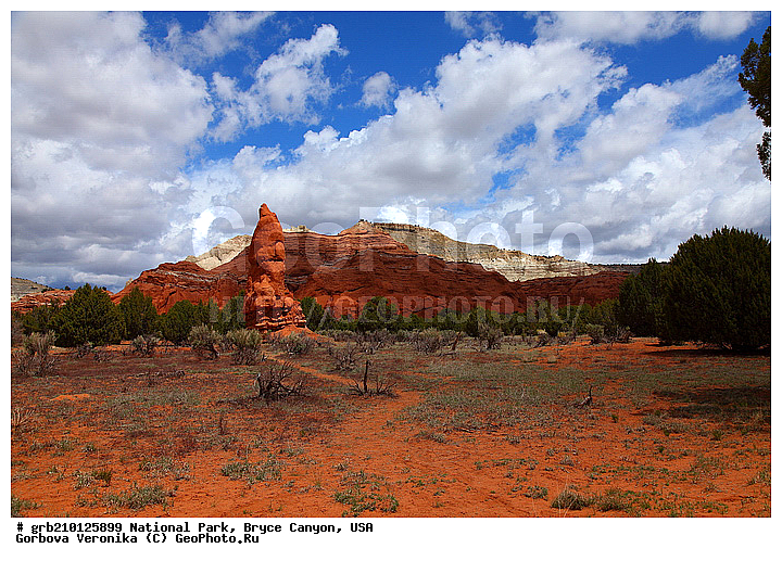 �����-������, ������������ ����, ���, ���